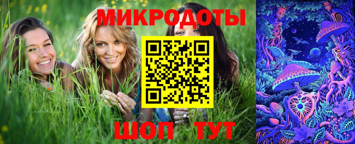 Биробиджан  Псилоцибиновые грибы Cubensis  Вход с VPN 