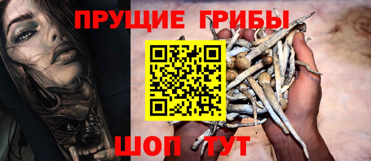 Псилоцибиновые грибы GOLDEN TEACHER Биробиджан
